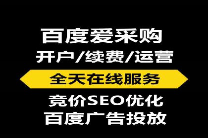 SEM竞价托管代运营助力转化率提升