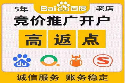 百度平台推广策略及成功案例解析